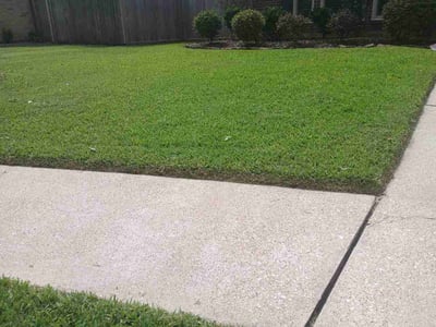 Lawn care service in Friendswood, 77546