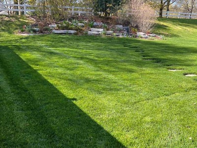 Lawn care service in Kentwood, 49512
