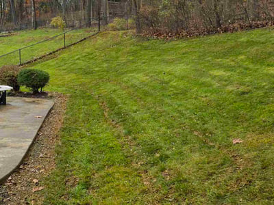 Lawn care service in Coraopolis, 15108
