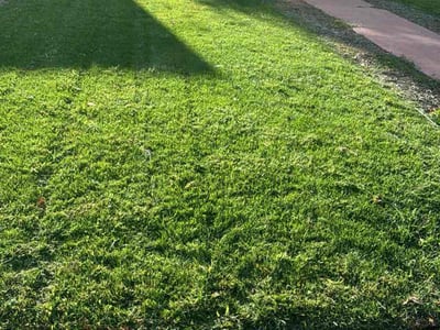 Lawn care service in Denver, 80207
