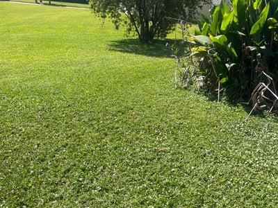 Lawn care service in Jacksonville, 32218