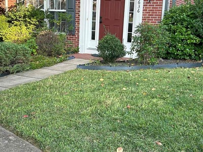 Lawn care service in Woodbridge, 22191
