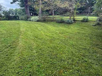 Lawn care service in Gaithersburg, 20886