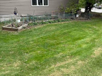 Lawn care service in Woodbury, 55125