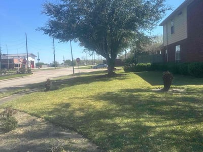 Lawn care service in Fresno, 77545