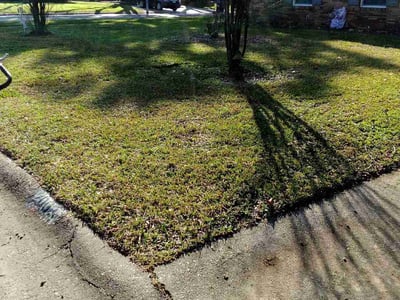Lawn care service in Houston, 77018