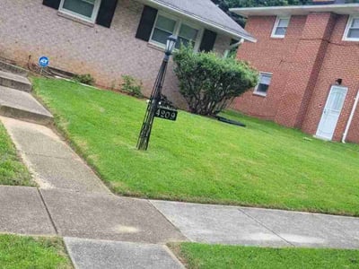 Lawn care service in Temple Hills, 20748
