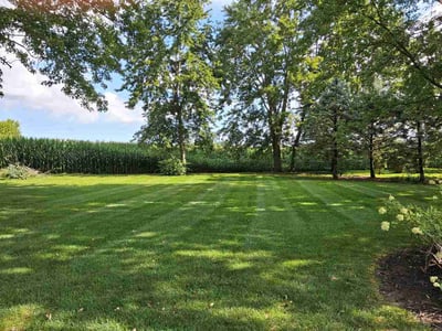 Lawn care service in Marion, 43302