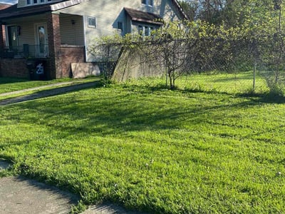 Lawn care service in Detroit, 48215