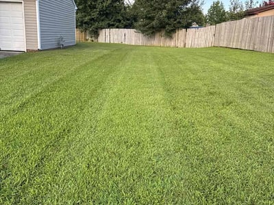 Lawn care service in Greensboro, 27405