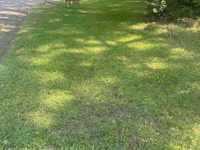 Lawn care service in Gadsden, 35903