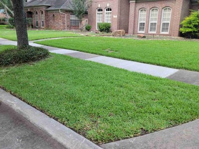 Lawn care service in Sugar Land, 77479