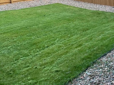 Lawn care service in Colorado Springs, 80925