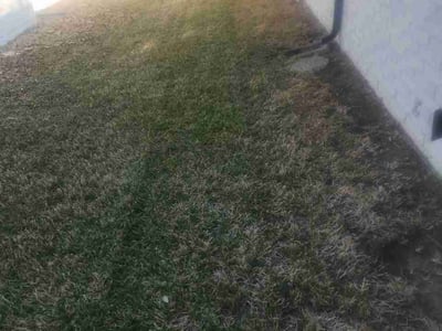 Lawn care service in Irving, 75062
