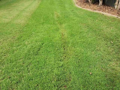 Lawn care service in Dacula, 30019
