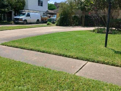 Lawn care service in Houston, 77071