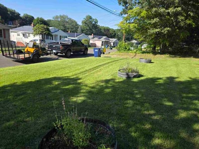 Lawn care service in Ansonia, 06401