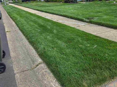 Lawn care service in Willingboro, 08046