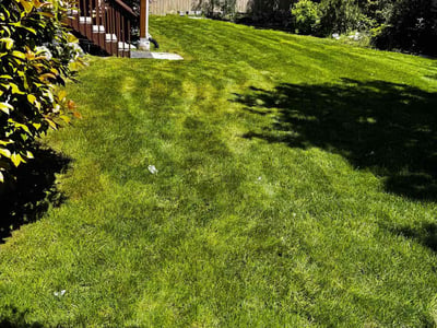 Lawn care service in Draper, 84020