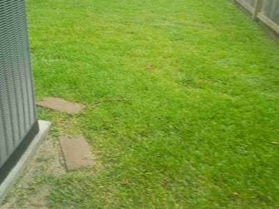 Lawn care service in Houston, 77015