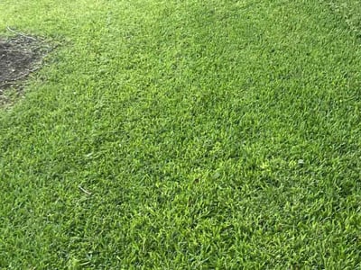 Lawn care service in Austin, 78753