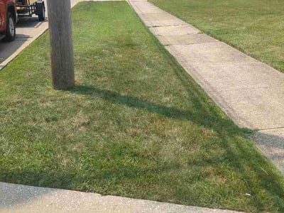 Lawn care service in Willowick, 44095
