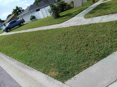 Lawn care service in Sarasota, 34232