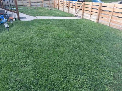 Lawn care service in Denver, 80210
