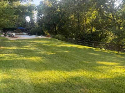 Lawn care service in Florence, 41042