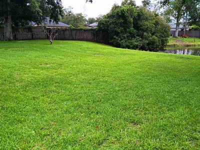 Lawn care service in Jacksonville, 32220