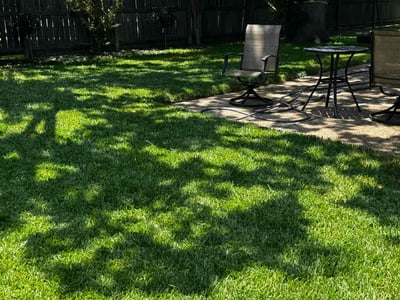 Lawn care service in Corpus Christi, 78413