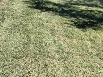 Lawn care service in Kansas City, 64130