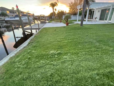 Lawn care service in Tarpon Springs, 34689