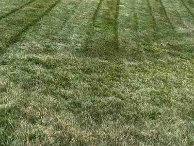 Lawn care service in Cerulean, 42215