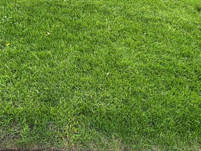 Lawn care service in Riverdale, 60827