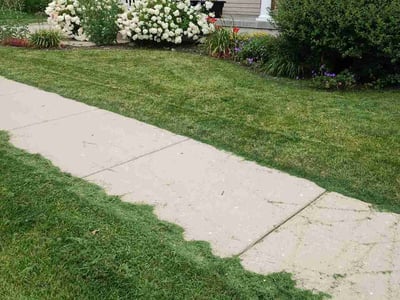 Lawn care service in Madison, 53718