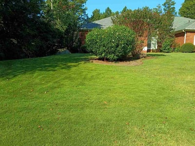Lawn care service in Newnan, 30265