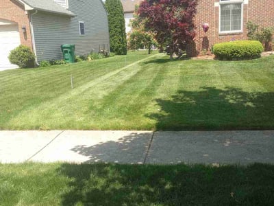 Lawn care service in Belleville, 48111