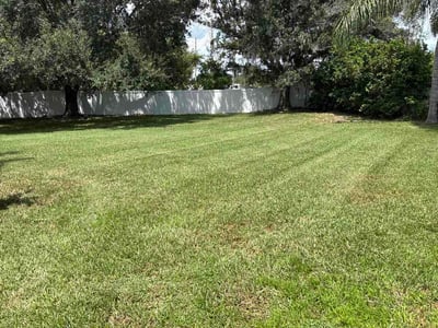 Lawn care service in Tampa, 33647