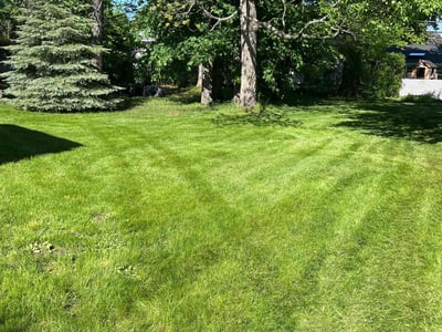 Lawn care service in Rochester, 14615