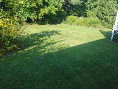 Lawn care service in Amherst, 01002