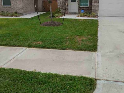 Lawn care service in Beasley, 77417