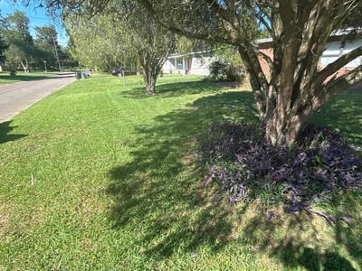 Lawn care service in Jacksonville, 32208