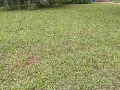 Lawn care service in Decatur, 30032