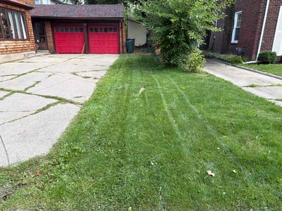 Lawn care service in Flint, 48503