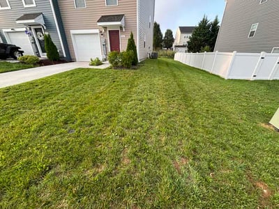 Lawn care service in Martinsburg, 25403