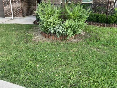 Lawn care service in Cypress, 77429