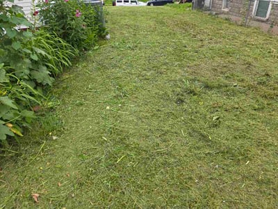 Lawn care service in Omaha, 68111