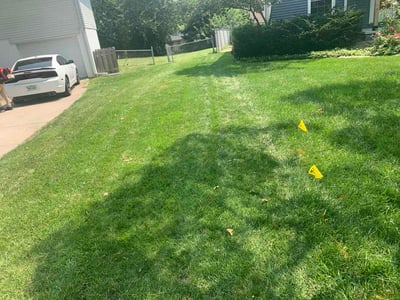 Lawn care service in Omaha, 68137