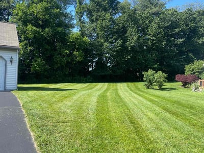 Lawn care service in Coatesville, 19320